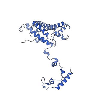 35720_8iuf_AN_v1-1
Cryo-EM structure of Euglena gracilis super-complex I+III2+IV, composite