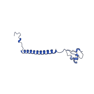 35720_8iuf_B2_v1-1
Cryo-EM structure of Euglena gracilis super-complex I+III2+IV, composite