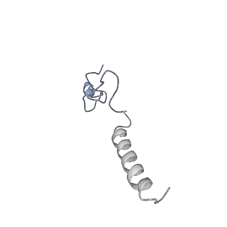 35720_8iuf_B3_v1-1
Cryo-EM structure of Euglena gracilis super-complex I+III2+IV, composite