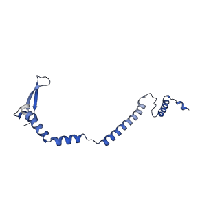 35720_8iuf_B5_v1-1
Cryo-EM structure of Euglena gracilis super-complex I+III2+IV, composite