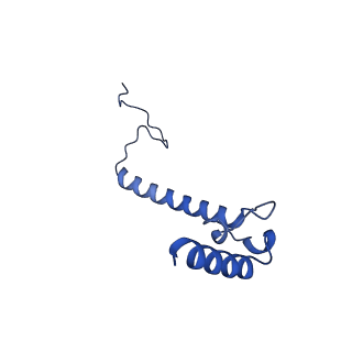 35720_8iuf_B6_v1-1
Cryo-EM structure of Euglena gracilis super-complex I+III2+IV, composite