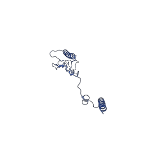 35720_8iuf_B8_v1-1
Cryo-EM structure of Euglena gracilis super-complex I+III2+IV, composite