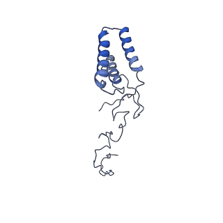 35720_8iuf_B9_v1-1
Cryo-EM structure of Euglena gracilis super-complex I+III2+IV, composite