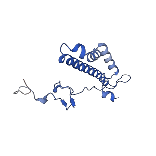 35720_8iuf_BL_v1-1
Cryo-EM structure of Euglena gracilis super-complex I+III2+IV, composite