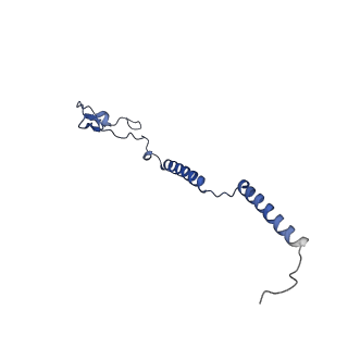 35720_8iuf_BM_v1-1
Cryo-EM structure of Euglena gracilis super-complex I+III2+IV, composite