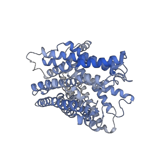 35720_8iuf_C1_v1-1
Cryo-EM structure of Euglena gracilis super-complex I+III2+IV, composite