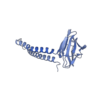 35720_8iuf_C2_v1-1
Cryo-EM structure of Euglena gracilis super-complex I+III2+IV, composite