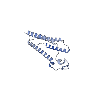 35720_8iuf_C3_v1-1
Cryo-EM structure of Euglena gracilis super-complex I+III2+IV, composite