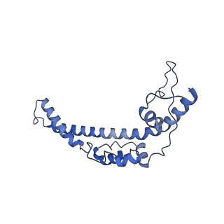 35720_8iuf_C4_v1-1
Cryo-EM structure of Euglena gracilis super-complex I+III2+IV, composite