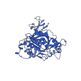 35720_8iuf_E1_v1-1
Cryo-EM structure of Euglena gracilis super-complex I+III2+IV, composite