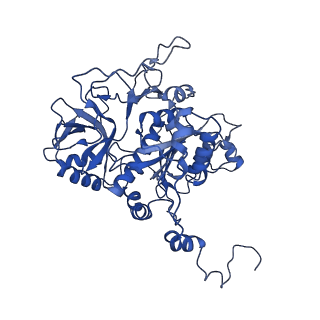 35720_8iuf_E2_v1-1
Cryo-EM structure of Euglena gracilis super-complex I+III2+IV, composite