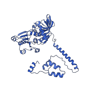 35720_8iuf_E3_v1-1
Cryo-EM structure of Euglena gracilis super-complex I+III2+IV, composite