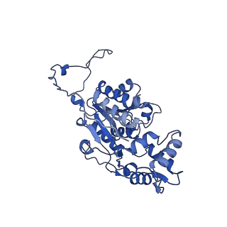 35720_8iuf_E4_v1-1
Cryo-EM structure of Euglena gracilis super-complex I+III2+IV, composite