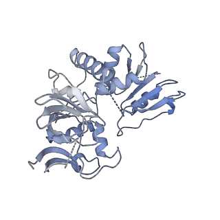 35720_8iuf_E5_v1-1
Cryo-EM structure of Euglena gracilis super-complex I+III2+IV, composite