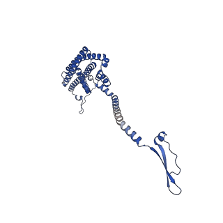 35720_8iuf_E6_v1-1
Cryo-EM structure of Euglena gracilis super-complex I+III2+IV, composite