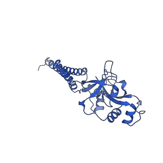 35720_8iuf_E7_v1-1
Cryo-EM structure of Euglena gracilis super-complex I+III2+IV, composite