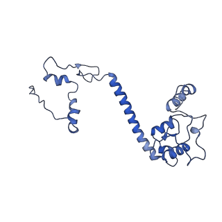 35720_8iuf_E8_v1-1
Cryo-EM structure of Euglena gracilis super-complex I+III2+IV, composite