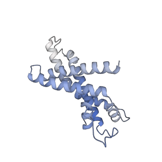 35720_8iuf_E9_v1-1
Cryo-EM structure of Euglena gracilis super-complex I+III2+IV, composite