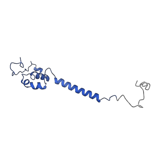 35720_8iuf_EA_v1-1
Cryo-EM structure of Euglena gracilis super-complex I+III2+IV, composite