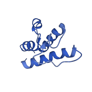 35720_8iuf_EC_v1-1
Cryo-EM structure of Euglena gracilis super-complex I+III2+IV, composite