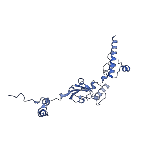 35720_8iuf_FX_v1-1
Cryo-EM structure of Euglena gracilis super-complex I+III2+IV, composite