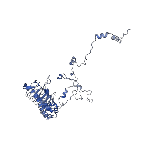 35720_8iuf_G1_v1-1
Cryo-EM structure of Euglena gracilis super-complex I+III2+IV, composite