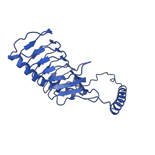 35720_8iuf_G2_v1-1
Cryo-EM structure of Euglena gracilis super-complex I+III2+IV, composite