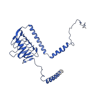 35720_8iuf_G3_v1-1
Cryo-EM structure of Euglena gracilis super-complex I+III2+IV, composite