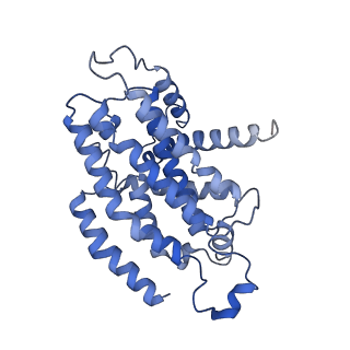 35720_8iuf_N1_v1-1
Cryo-EM structure of Euglena gracilis super-complex I+III2+IV, composite