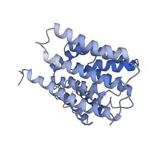 35720_8iuf_N2_v1-1
Cryo-EM structure of Euglena gracilis super-complex I+III2+IV, composite