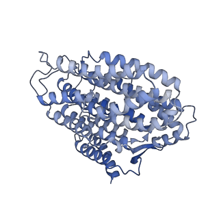 35720_8iuf_N4_v1-1
Cryo-EM structure of Euglena gracilis super-complex I+III2+IV, composite