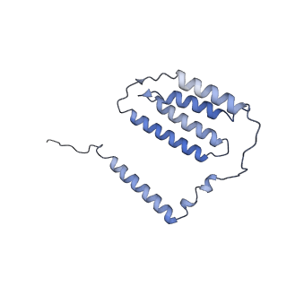 35720_8iuf_N6_v1-1
Cryo-EM structure of Euglena gracilis super-complex I+III2+IV, composite