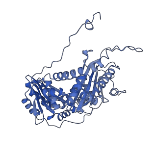 35720_8iuf_QA_v1-1
Cryo-EM structure of Euglena gracilis super-complex I+III2+IV, composite