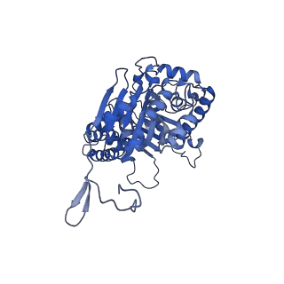 35720_8iuf_QB_v1-1
Cryo-EM structure of Euglena gracilis super-complex I+III2+IV, composite