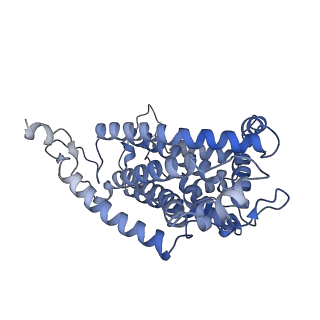 35720_8iuf_QC_v1-1
Cryo-EM structure of Euglena gracilis super-complex I+III2+IV, composite