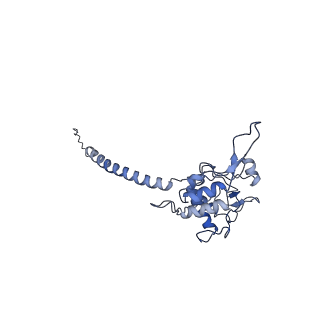 35720_8iuf_QD_v1-1
Cryo-EM structure of Euglena gracilis super-complex I+III2+IV, composite