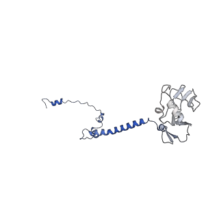 35720_8iuf_QE_v1-1
Cryo-EM structure of Euglena gracilis super-complex I+III2+IV, composite