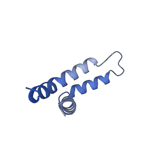 35720_8iuf_QF_v1-1
Cryo-EM structure of Euglena gracilis super-complex I+III2+IV, composite