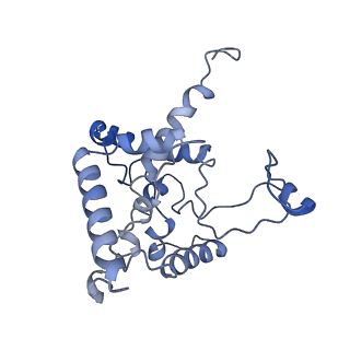 35720_8iuf_QG_v1-1
Cryo-EM structure of Euglena gracilis super-complex I+III2+IV, composite