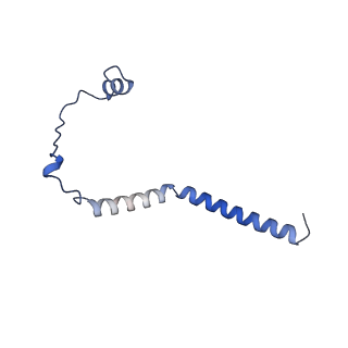 35720_8iuf_QH_v1-1
Cryo-EM structure of Euglena gracilis super-complex I+III2+IV, composite