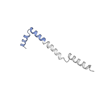 35720_8iuf_QI_v1-1
Cryo-EM structure of Euglena gracilis super-complex I+III2+IV, composite