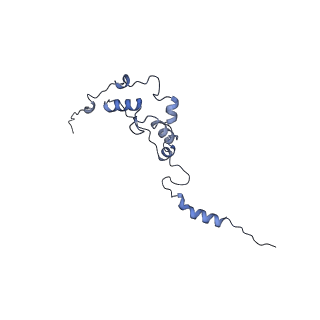 35720_8iuf_QJ_v1-1
Cryo-EM structure of Euglena gracilis super-complex I+III2+IV, composite