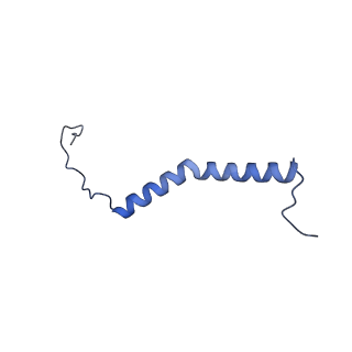 35720_8iuf_QK_v1-1
Cryo-EM structure of Euglena gracilis super-complex I+III2+IV, composite