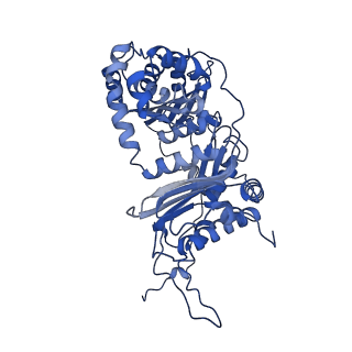 35720_8iuf_Qa_v1-1
Cryo-EM structure of Euglena gracilis super-complex I+III2+IV, composite