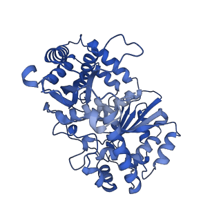 35720_8iuf_Qb_v1-1
Cryo-EM structure of Euglena gracilis super-complex I+III2+IV, composite