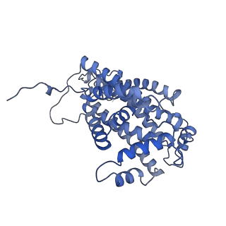 35720_8iuf_Qc_v1-1
Cryo-EM structure of Euglena gracilis super-complex I+III2+IV, composite