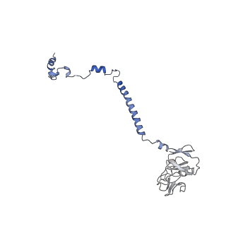 35720_8iuf_Qe_v1-1
Cryo-EM structure of Euglena gracilis super-complex I+III2+IV, composite