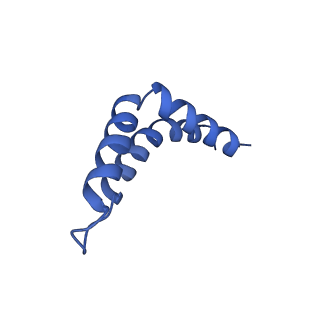 35720_8iuf_Qf_v1-1
Cryo-EM structure of Euglena gracilis super-complex I+III2+IV, composite