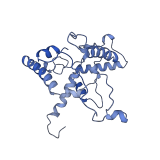 35720_8iuf_Qg_v1-1
Cryo-EM structure of Euglena gracilis super-complex I+III2+IV, composite