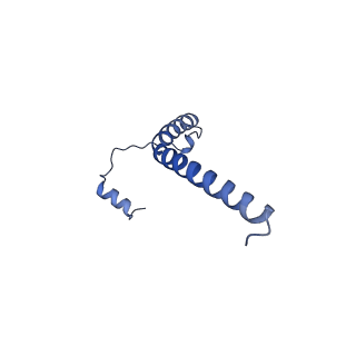 35720_8iuf_Qh_v1-1
Cryo-EM structure of Euglena gracilis super-complex I+III2+IV, composite